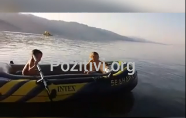 Ata kënaqen.. ne shplodhemi duke i ndjekur