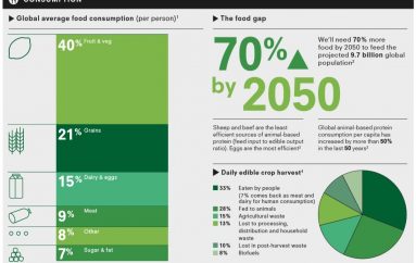 Dieta e qëndrueshme, si të ushqehemi për të mbrojtur planetin