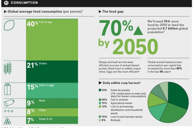 Dieta e qëndrueshme, si të ushqehemi për të mbrojtur planetin