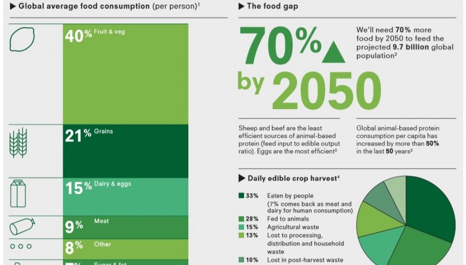 Dieta e qëndrueshme, si të ushqehemi për të mbrojtur planetin
