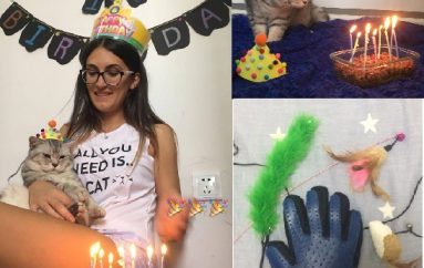  Dashuria nuk njeh kufi…edhe për kafshët!