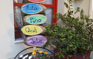 Dashuro, lutu, puno, qesh, jeto… kjo është dita juaj