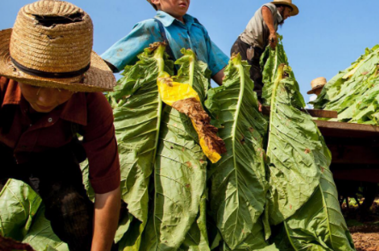 Amish drejt shekullit të 21-të