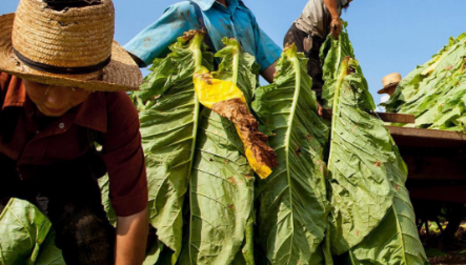 Amish drejt shekullit të 21-të