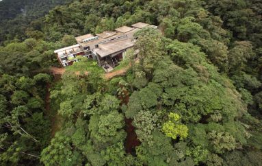 Ndërtohet parajsa në xhungël, vend përrallor në mes të pyllit