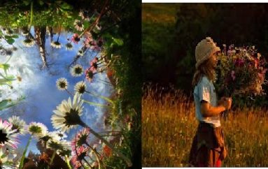 Guida e aventurierit për të mësuar dashurinë, studimet inspiruese