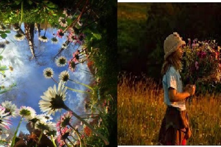 Guida e aventurierit për të mësuar dashurinë, studimet inspiruese