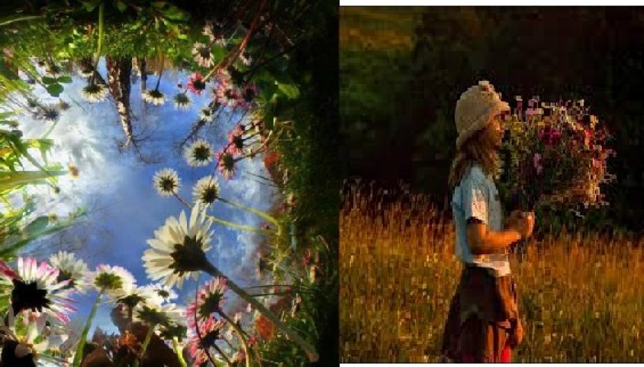 Guida e aventurierit për të mësuar dashurinë, studimet inspiruese