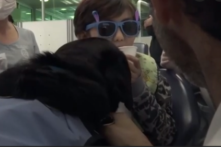 Frika nga dentisti, zbulohet terapia që sjell buzëqeshje për fëmijët me autizëm