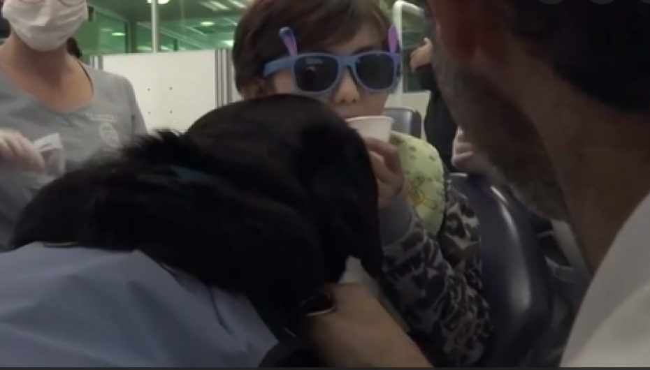 Frika nga dentisti, zbulohet terapia që sjell buzëqeshje për fëmijët me autizëm