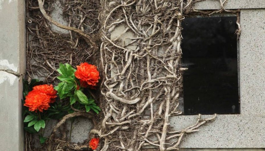 S’do ta besoni… dhe këtu mund të rriten lule