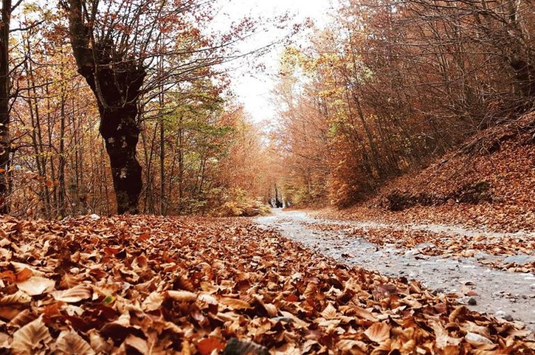 Troket vjeshta, pamje të rralla nga bukuritë shqiptare