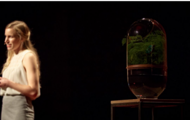 Ide e ndritshme: Kjo llampë mbledh energjitë e veta nga bimët