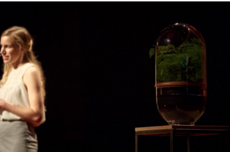 Ide e ndritshme: Kjo llampë mbledh energjitë e veta nga bimët