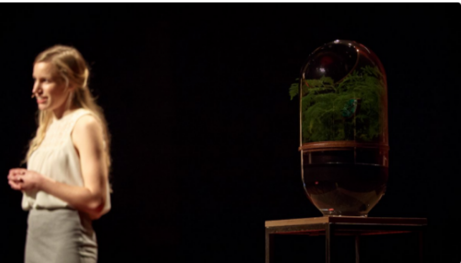 Ide e ndritshme: Kjo llampë mbledh energjitë e veta nga bimët