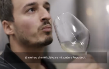 27 vjeçari nga Pogradeci rrëfen si ngriti biznes duke përdorur vreshtat