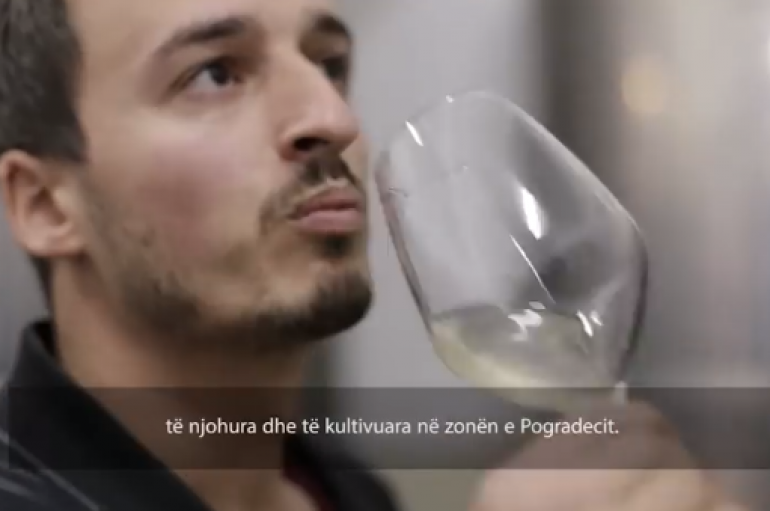 27 vjeçari nga Pogradeci rrëfen si ngriti biznes duke përdorur vreshtat