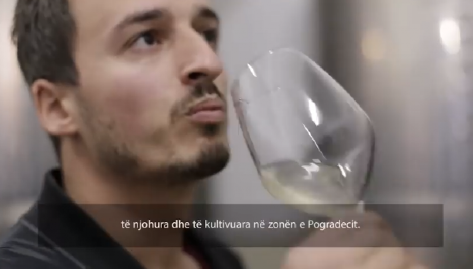 27 vjeçari nga Pogradeci rrëfen si ngriti biznes duke përdorur vreshtat