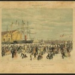 03e5edc90bd96fe601416c7101d23906