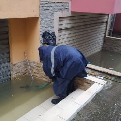 24177067_10155356787326523_2794196743416841437_n