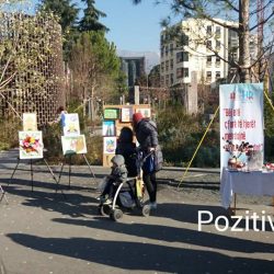 25994650_1454059194719805_7046582386814284610_n