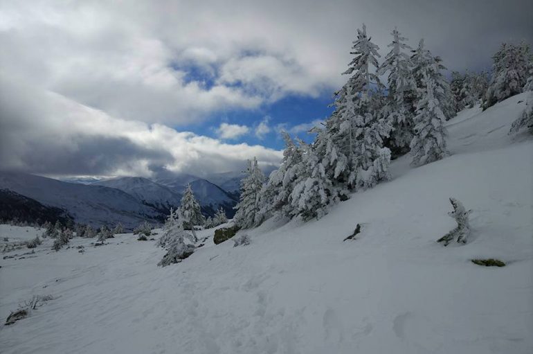 Mali i Gjallicës mbuluar me dëborë