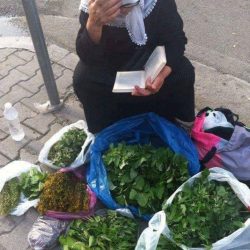 4026dc3b-4d11-42c7-900f-77ced1530b31