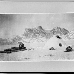 bb0d7e8780ac98669d38a1a1b4972b8e