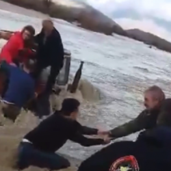 bein ne uje ndersa kalojne lumin, 3 veta ne delvine