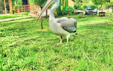 Në natyrën e bukur të “ngrirë”