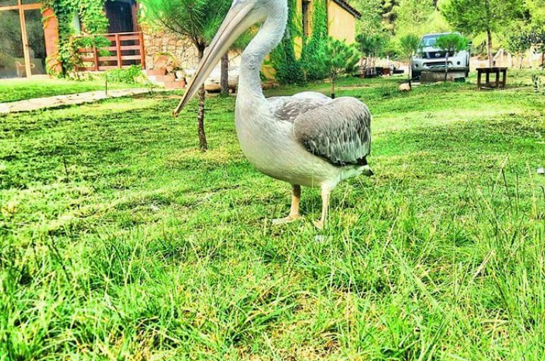 Në natyrën e bukur të “ngrirë”