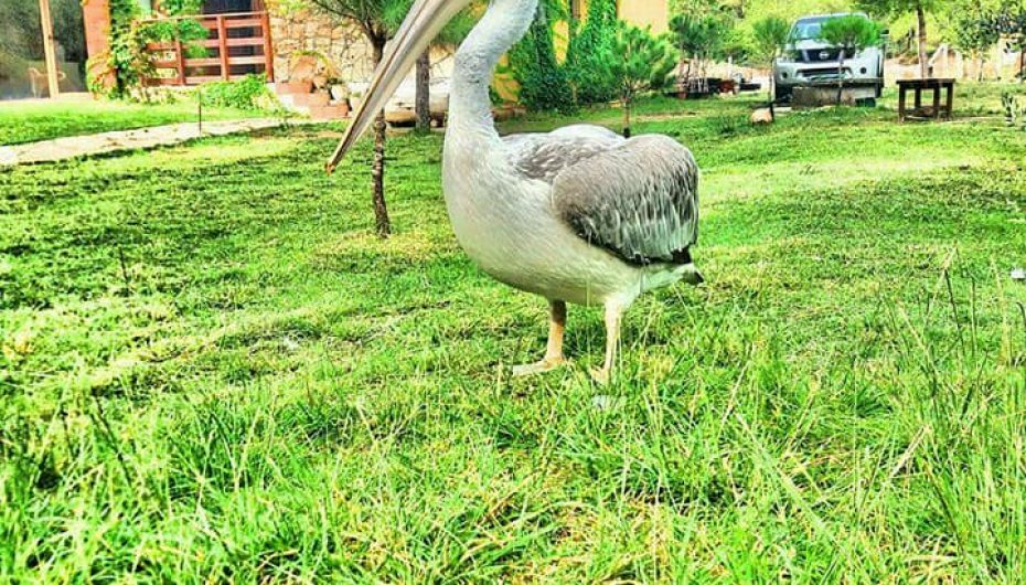 Në natyrën e bukur të “ngrirë”