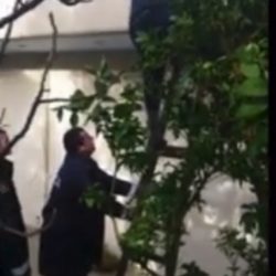 e moshuara qe jetonte vetem, shpetohet