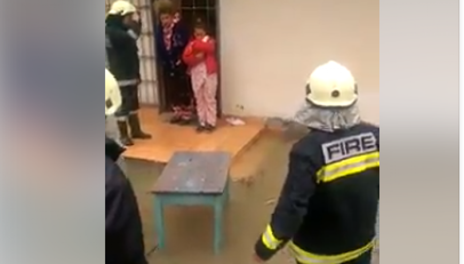 Përmbytje në Vlorë/ Vajza nuk braktis macen, zjarrëfikësit bëhen shembull me sjelljen e tyre