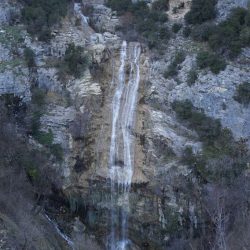 gramsh_0010-682×1024