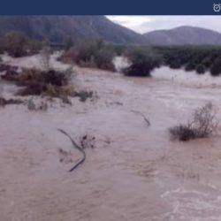 lumi pavell del nga shtrati, shpetohen njerezit por jo kecat