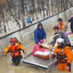 vogelushja e paralizuar ne uren e Gjoles