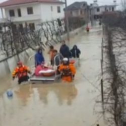 vogelusja e paralizuar