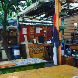 25508161_2009124779102748_7417479728424025076_n