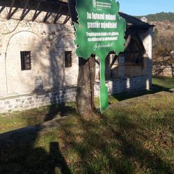 26112454_1463144383811286_2188566086165114264_n