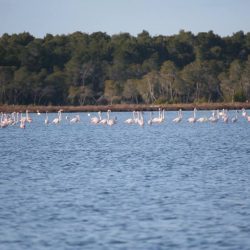 26114205_10208523122074814_771811967152953485_n