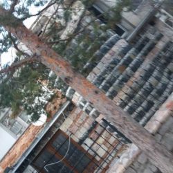 26166165_1463144127144645_2754728791608088781_n