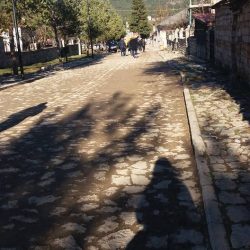 26166234_1463144717144586_4353272363908384394_n