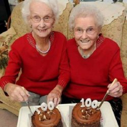 26166923_2016963998319840_8643273833214349071_n