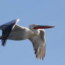 26168532_10208523271598552_4540688804592630247_n