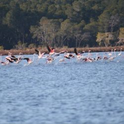 26168650_10208523112754581_456347345930638494_n