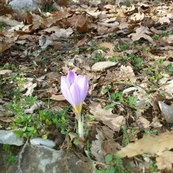 26168824_10210996444251592_934831315477659127_n