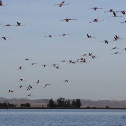 26169902_10208523149755506_5456649197663184308_n