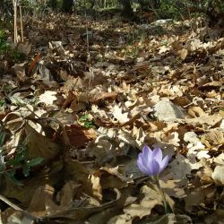 26195492_10210996444211591_1927708872350999674_n