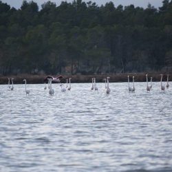 26196210_10208523128674979_4332599841186080079_n